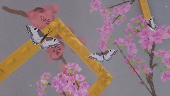 Dreams of a Butterfly