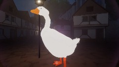 Village Exploration Goose