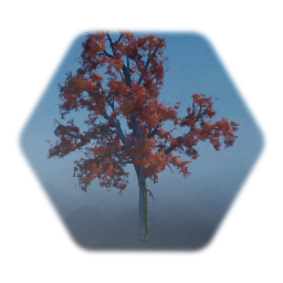 Procedural Sugar Maple
