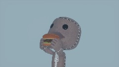 The Idiots Make Photos