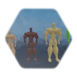 Muscles template