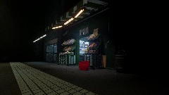 The store