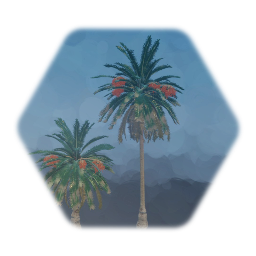 Canary Island Date Palm game friendly