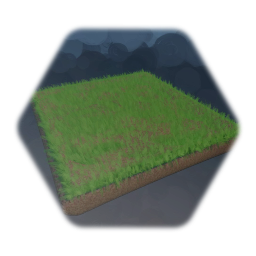 Ground with grass