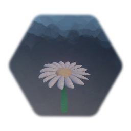 Daisy flower