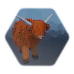 Highland Cow