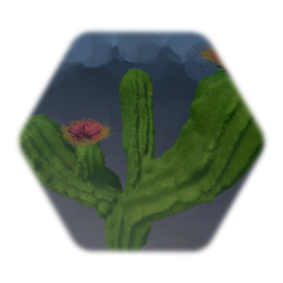 Cactus