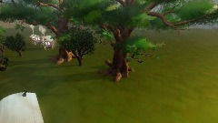 Old tree of the wood