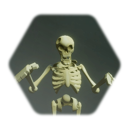 Skeleton