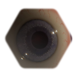 Eye 1