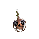 KLLMODE15