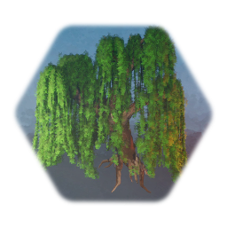 Willow Tree