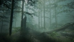 Realistic Foggy Forest Scene