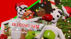 Boxing sim