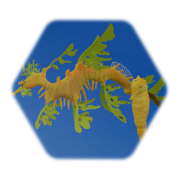 Seahorse Collection