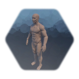 Anatomy male base