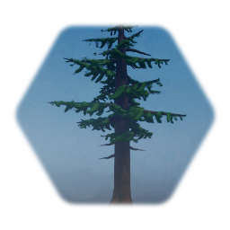 Pine Tree 2