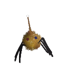 Doopytunes