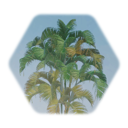 Palm Trees and cycads of Earth