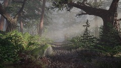 Foggy Forest Realism Study
