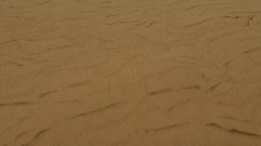 A screenshot taken in Dreams. 13 of 24.