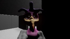 gobr opila bird chase