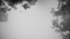 ARCHWEMENT PARK Scelta del momento.