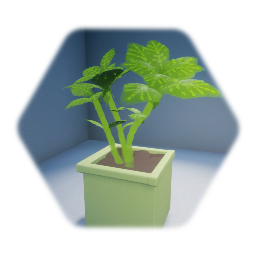 Basil Herb (Potted)