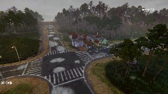 The Toads village