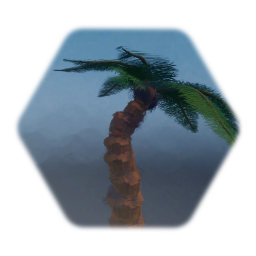 Palme mit Kokosnuss