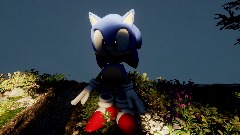 Sonic in a Forest