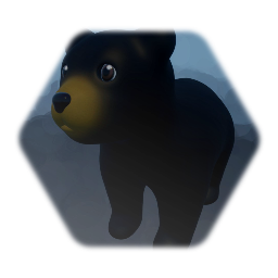 Black Bear