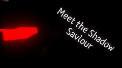 Meet The Shadow Savior