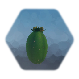 Smaller Cactus