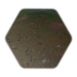 Forest ground 2