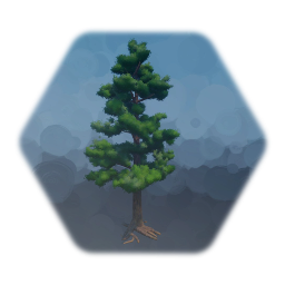 Pine tree