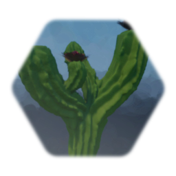 Cactus (Desert/Canyon)