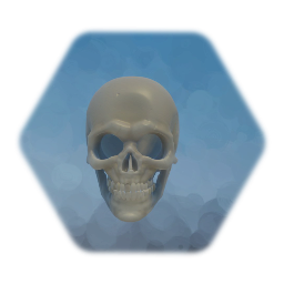 Skull with Movable Jaw