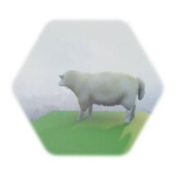 Sheep