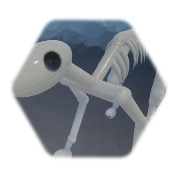 Skeleton of dog