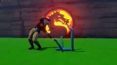 Peacemaker's Fatality