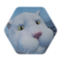 FirstTry\Whitedog the cat