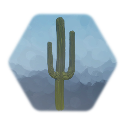 Saguaro Cactus