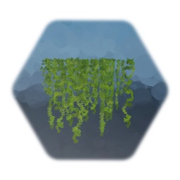 Vines