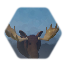 Mounted Moose Head