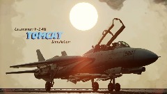 F-14B Tomcat - Simulation