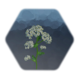 Community Garden 2: Herbs - Yarrow