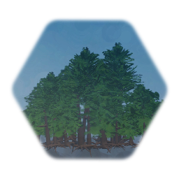 Small group of pine trees