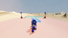 Sonic in desert