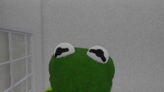 Kermit nightmer in real life